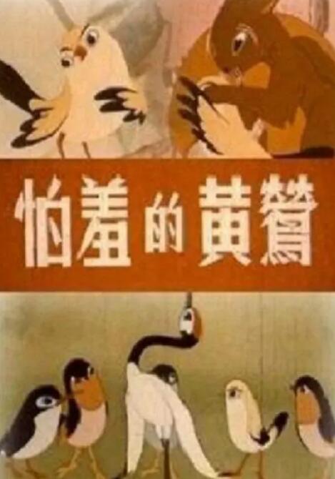 男人不识本网站