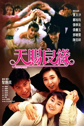 我的黄毛app