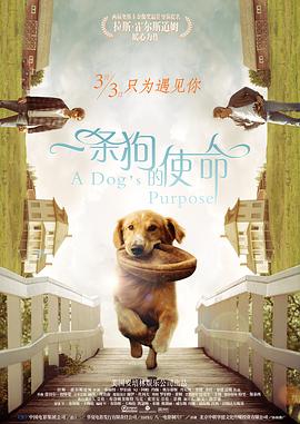 课外记忆