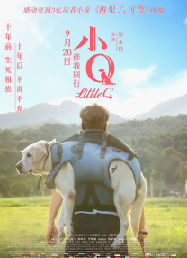 免费国产午夜在线观看